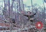 Image of Soldiers help injured South Vietnam, 1967, second 50 stock footage video 65675021190