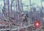 Image of Soldiers help injured South Vietnam, 1967, second 51 stock footage video 65675021190