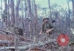 Image of Soldiers help injured South Vietnam, 1967, second 52 stock footage video 65675021190