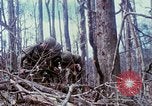 Image of Soldiers help injured South Vietnam, 1967, second 57 stock footage video 65675021190