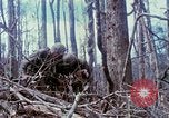 Image of Soldiers help injured South Vietnam, 1967, second 58 stock footage video 65675021190