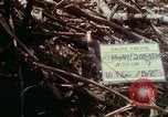 Image of Assault of hill South Vietnam, 1967, second 4 stock footage video 65675021191