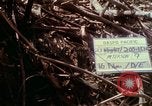 Image of Assault of hill South Vietnam, 1967, second 9 stock footage video 65675021191
