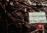 Image of Assault of hill South Vietnam, 1967, second 10 stock footage video 65675021191