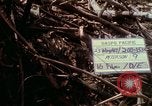 Image of Assault of hill South Vietnam, 1967, second 11 stock footage video 65675021191