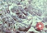 Image of Assault of hill South Vietnam, 1967, second 13 stock footage video 65675021191