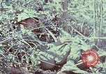 Image of Assault of hill South Vietnam, 1967, second 14 stock footage video 65675021191