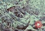 Image of Assault of hill South Vietnam, 1967, second 15 stock footage video 65675021191