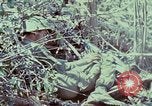 Image of Assault of hill South Vietnam, 1967, second 16 stock footage video 65675021191