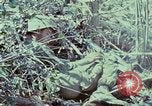 Image of Assault of hill South Vietnam, 1967, second 17 stock footage video 65675021191