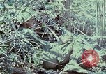 Image of Assault of hill South Vietnam, 1967, second 18 stock footage video 65675021191