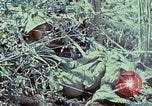 Image of Assault of hill South Vietnam, 1967, second 19 stock footage video 65675021191