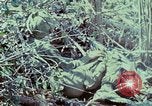Image of Assault of hill South Vietnam, 1967, second 20 stock footage video 65675021191