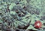 Image of Assault of hill South Vietnam, 1967, second 21 stock footage video 65675021191
