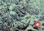 Image of Assault of hill South Vietnam, 1967, second 22 stock footage video 65675021191
