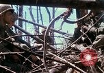 Image of Assault of hill South Vietnam, 1967, second 52 stock footage video 65675021191