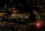 Image of wounded rescued by Huey helicopter South Vietnam, 1967, second 36 stock footage video 65675021192