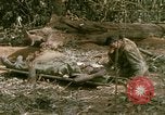 Image of wounded rescued by Huey helicopter South Vietnam, 1967, second 39 stock footage video 65675021192