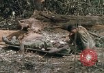 Image of wounded rescued by Huey helicopter South Vietnam, 1967, second 43 stock footage video 65675021192