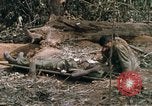 Image of wounded rescued by Huey helicopter South Vietnam, 1967, second 45 stock footage video 65675021192