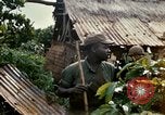 Image of US Army 11th Armored Cavalry Regiment search mission South Vietnam, 1967, second 4 stock footage video 65675021193