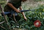 Image of US Army 11th Armored Cavalry Regiment search mission South Vietnam, 1967, second 16 stock footage video 65675021193