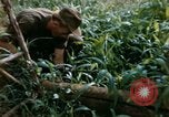 Image of US Army 11th Armored Cavalry Regiment search mission South Vietnam, 1967, second 18 stock footage video 65675021193