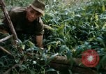 Image of US Army 11th Armored Cavalry Regiment search mission South Vietnam, 1967, second 19 stock footage video 65675021193