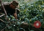 Image of US Army 11th Armored Cavalry Regiment search mission South Vietnam, 1967, second 20 stock footage video 65675021193