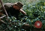Image of US Army 11th Armored Cavalry Regiment search mission South Vietnam, 1967, second 21 stock footage video 65675021193