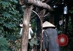 Image of US Army 11th Armored Cavalry Regiment search mission South Vietnam, 1967, second 24 stock footage video 65675021193