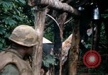 Image of US Army 11th Armored Cavalry Regiment search mission South Vietnam, 1967, second 25 stock footage video 65675021193