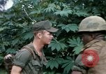 Image of US Army 11th Armored Cavalry Regiment search mission South Vietnam, 1967, second 35 stock footage video 65675021193