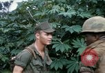 Image of US Army 11th Armored Cavalry Regiment search mission South Vietnam, 1967, second 36 stock footage video 65675021193