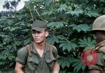 Image of US Army 11th Armored Cavalry Regiment search mission South Vietnam, 1967, second 37 stock footage video 65675021193