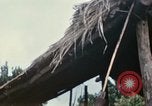 Image of US Army 11th Armored Cavalry Regiment search mission South Vietnam, 1967, second 49 stock footage video 65675021193