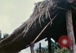Image of US Army 11th Armored Cavalry Regiment search mission South Vietnam, 1967, second 51 stock footage video 65675021193