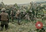 Image of US Army 11th Armored Cavalry Regiment search mission South Vietnam, 1967, second 61 stock footage video 65675021193