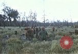 Image of 11th Armored Cavalry Regiment base camp South Vietnam, 1967, second 21 stock footage video 65675021194