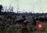 Image of 11th Armored Cavalry Regiment base camp South Vietnam, 1967, second 27 stock footage video 65675021194