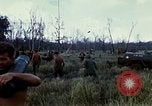Image of 11th Armored Cavalry Regiment base camp South Vietnam, 1967, second 29 stock footage video 65675021194