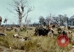 Image of 11th Armored Cavalry Regiment South Vietnam, 1967, second 21 stock footage video 65675021195