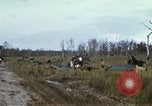 Standbild 11 gepanzerte Kavallerie South Vietnam, 1967, aus Sekunde 60 historischem Filmmaterial Videoclip 65675021196