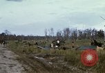 Standbild 11 gepanzerte Kavallerie South Vietnam, 1967, aus Sekunde 61 historischem Filmmaterial Videoclip 65675021196