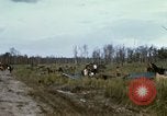 Standbild 11 gepanzerte Kavallerie South Vietnam, 1967, aus Sekunde 62 historischem Filmmaterial Videoclip 65675021196