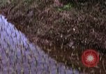 Image of 196th Light Infantry Brigade on mission Vietnam, 1968, second 16 stock footage video 65675021198