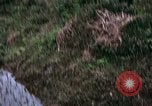 Image of 196th Light Infantry Brigade on mission Vietnam, 1968, second 17 stock footage video 65675021198