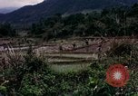 Image of 196th Light Infantry Brigade on mission Vietnam, 1968, second 23 stock footage video 65675021198