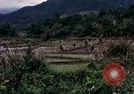 Image of 196th Light Infantry Brigade on mission Vietnam, 1968, second 24 stock footage video 65675021198