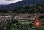 Image of 196th Light Infantry Brigade on mission Vietnam, 1968, second 27 stock footage video 65675021198